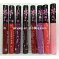 Peel off lip gloss Lip gloss private label Lipgloss Packaging